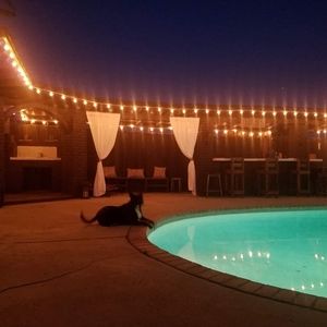 Meet your Posher, Lawrence